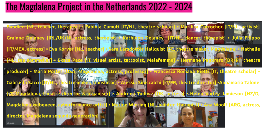Vulvaäbility, the Netherlands and online, 2022-24. Screengrab of participants in an online meeting.