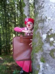 Imagen de Flor Orlandino